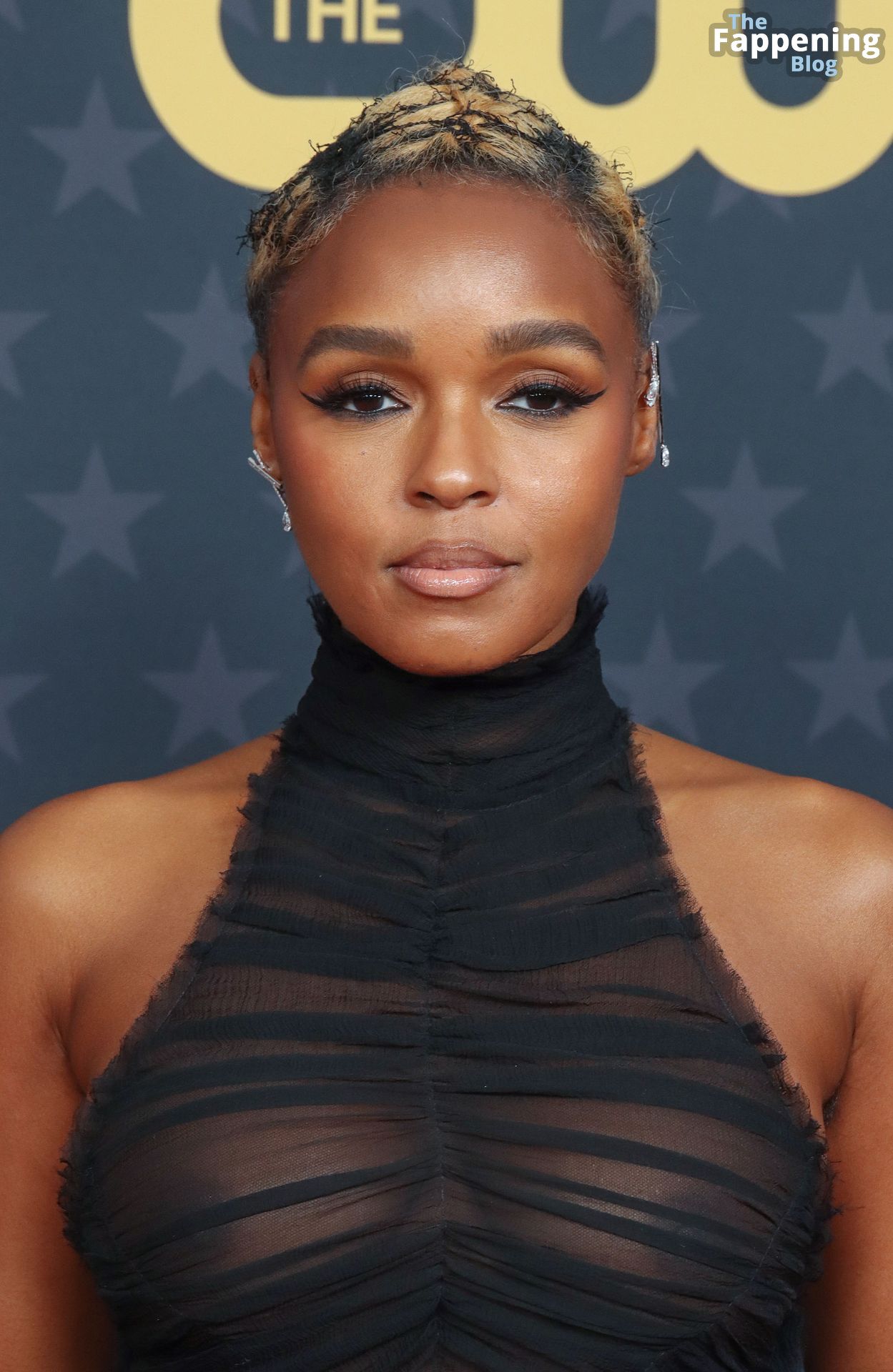Janelle Monae Flashes Her Nude Boobs 001